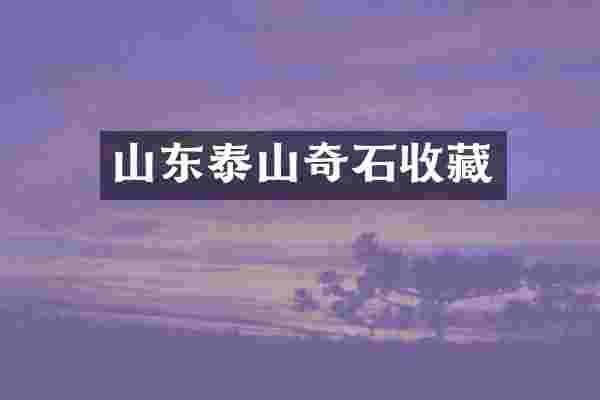 山东泰山奇石收藏