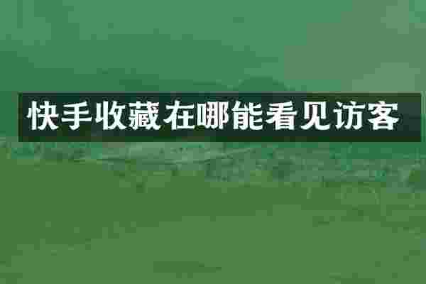快手收藏在哪能看见访客