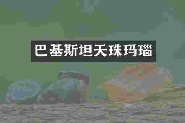 巴基斯坦天珠玛瑙