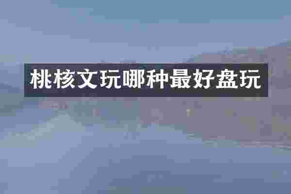 桃核文玩哪种最好盘玩