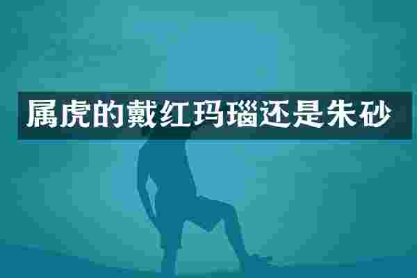 属虎的戴红玛瑙还是朱砂