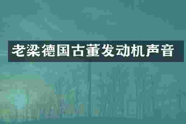 老梁德国古董发动机声音